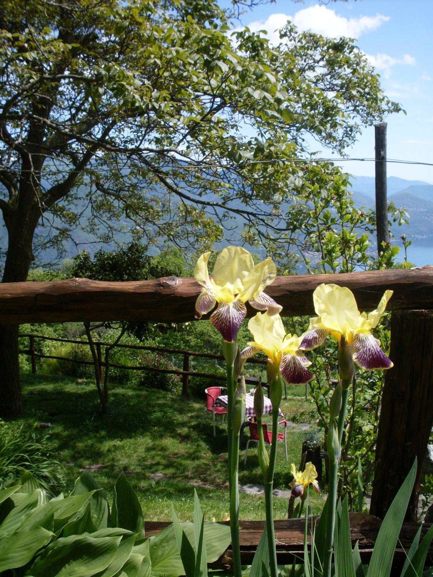 Agriturismo Da Attilio Cannobio Zewnętrze zdjęcie