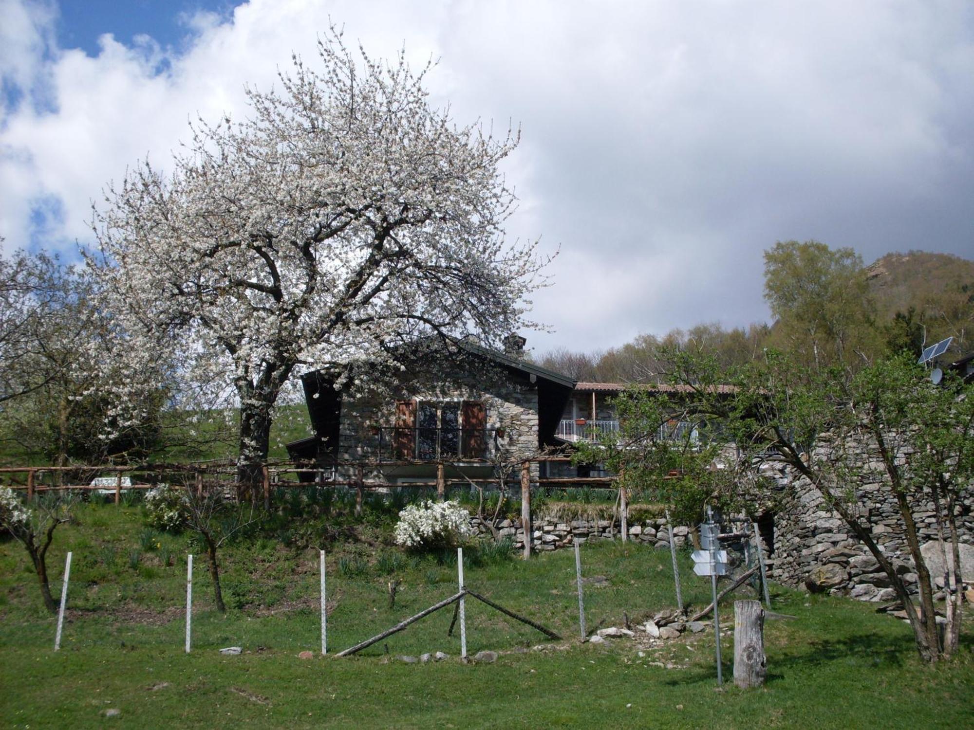 Agriturismo Da Attilio Cannobio Zewnętrze zdjęcie