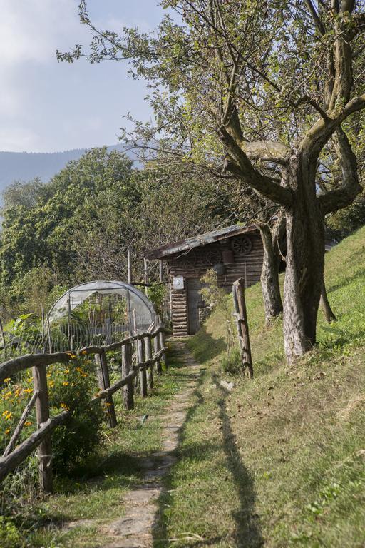 Agriturismo Da Attilio Cannobio Zewnętrze zdjęcie
