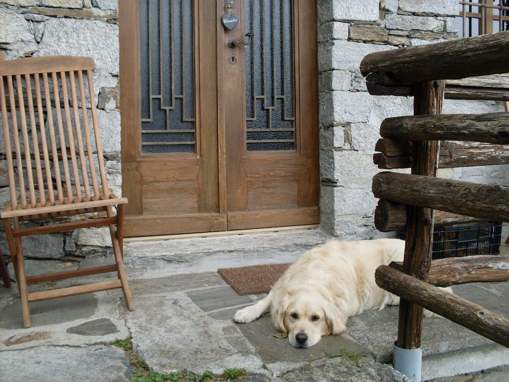 Agriturismo Da Attilio Cannobio Pokój zdjęcie