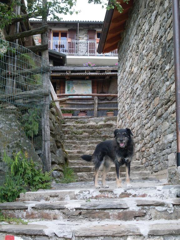 Agriturismo Da Attilio Cannobio Zewnętrze zdjęcie